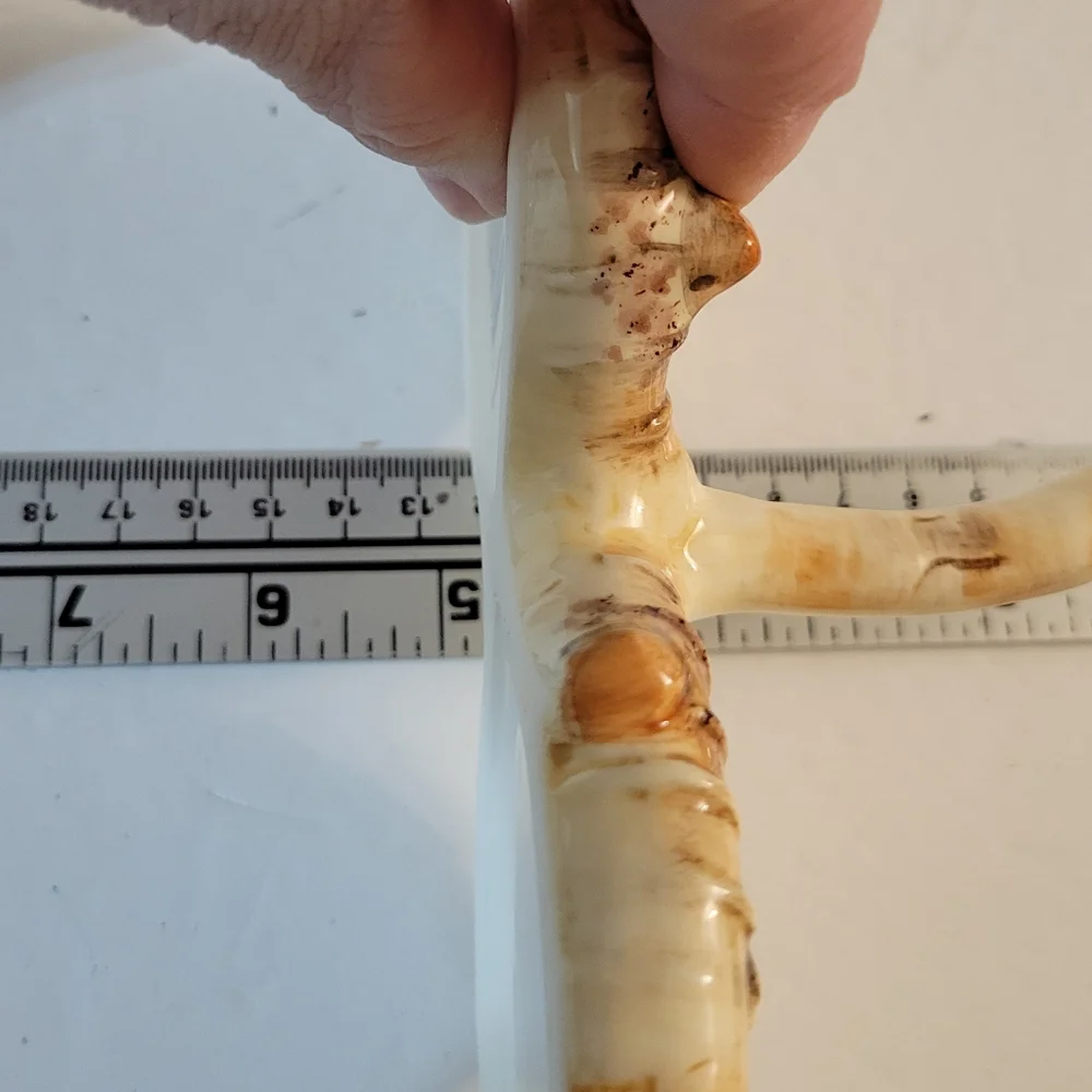 Unbranded birch tree